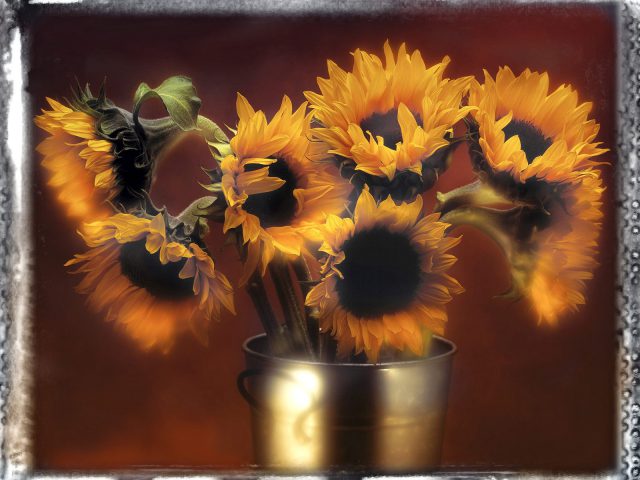 Artful Sunflowers 3171