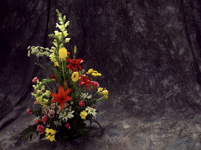 Beautiful Flowers 5 29 3198