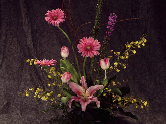 Beautiful Flowers 5 31 3201