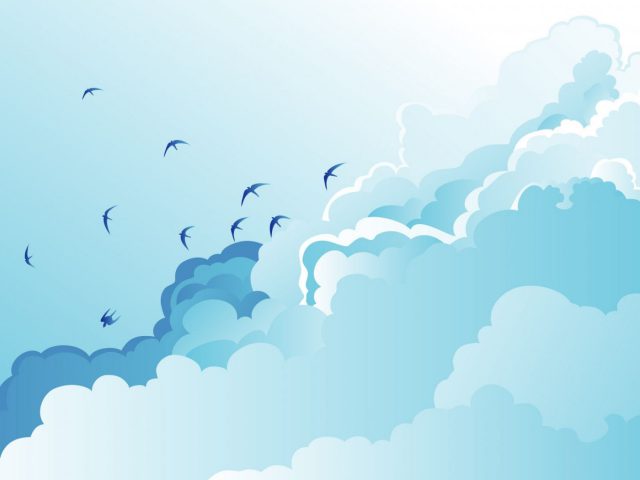 Drawn Wallpapers Vector Wallpapers Seagulls
