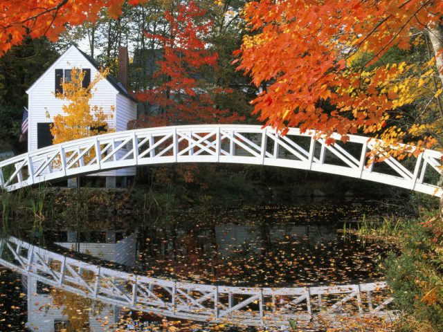 Pond Reflecting Rural Bridge