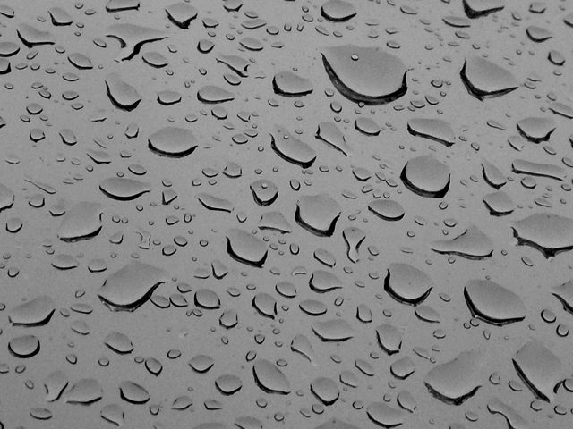 Raindrops Falling 12486