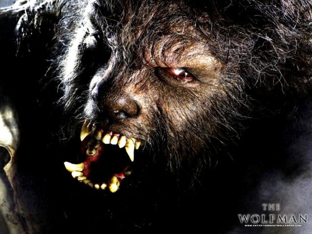 The Wolfman 21 5270