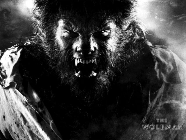 The Wolfman 8 5257