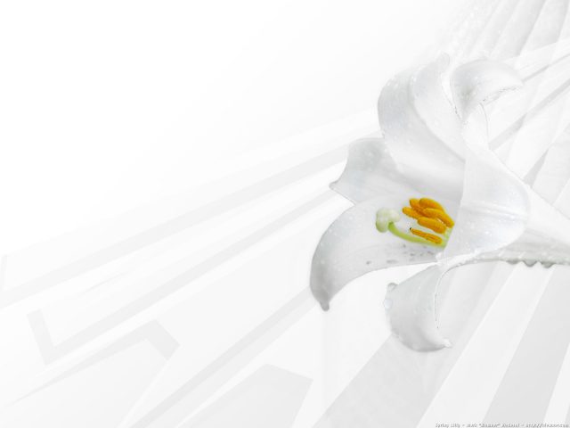 White Wallpapers 39 1933