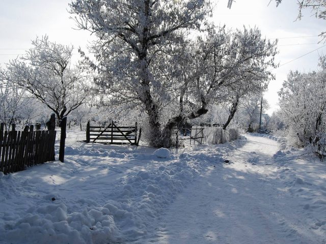 Zimowa Tapeta 30 15941
